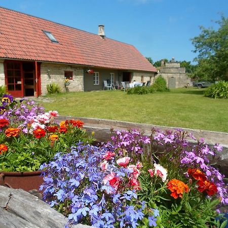 Ansumardi Farmstay Kavandi Exterior foto